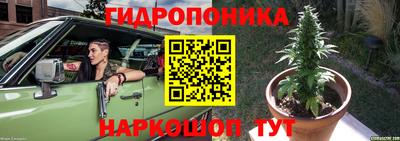 ALPHA PVP Кингисепп