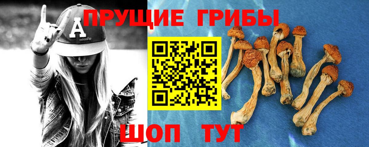 Галлюциногенные грибы MAGIC MUSHROOMS Южноуральск