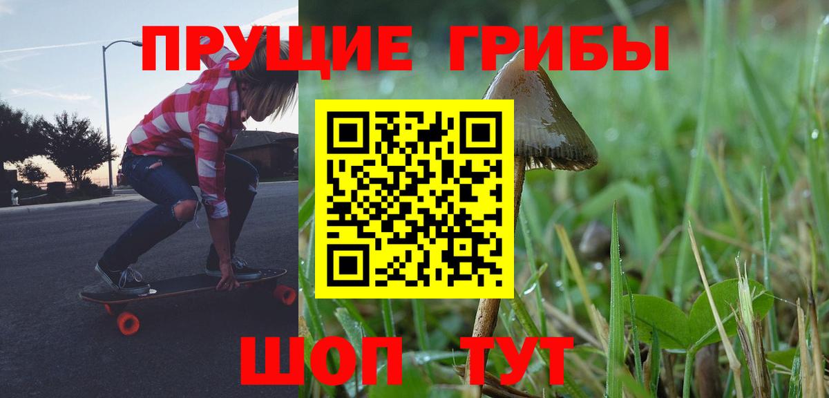 Галлюциногенные грибы мицелий  Вход с VPN  Южноуральск  Псилоцибиновые грибы Psilocybine cubensis 